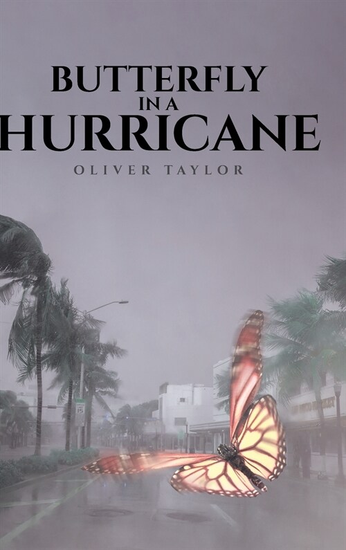 Butterfly in a Hurricane (Hardcover)