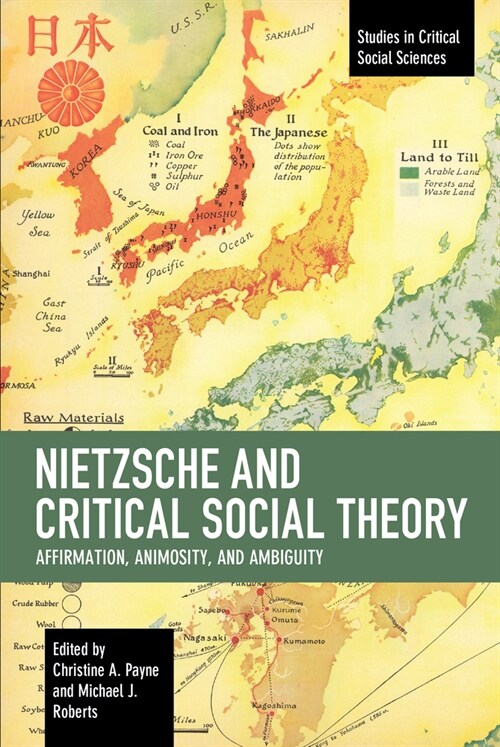 Nietzsche and Critical Social Theory: Affirmation, Animosity, and Ambiguity (Paperback)