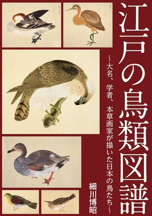 江戶の鳥類圖譜