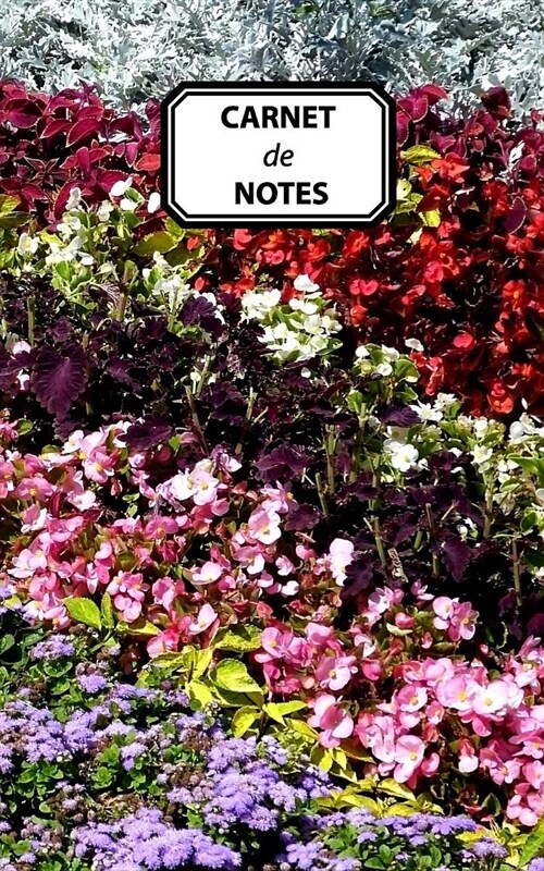 Carnet de Notes: Journal personnel, prise de notes, original & pratique de 110 pages lign?s avec une couverture photo (Paperback)