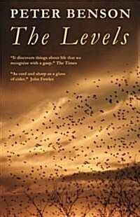 The Levels (Paperback)