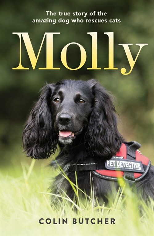 Molly: The True Story of the Amazing Dog Who Rescues Cats (Paperback)