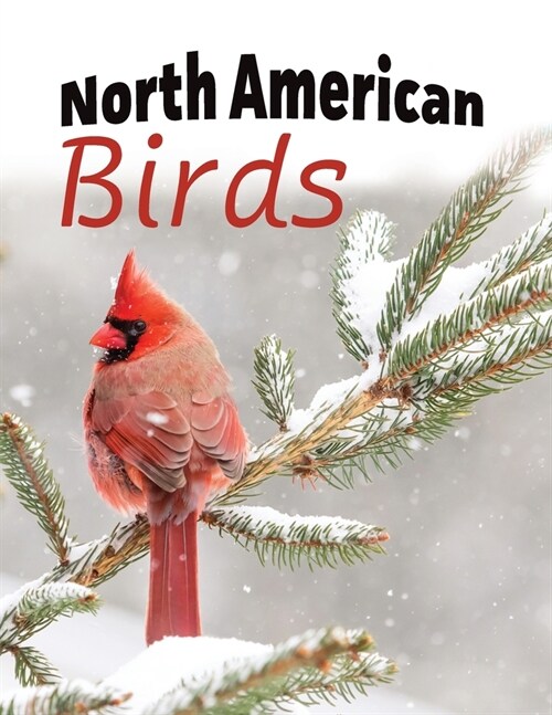 North American Birds (Paperback)