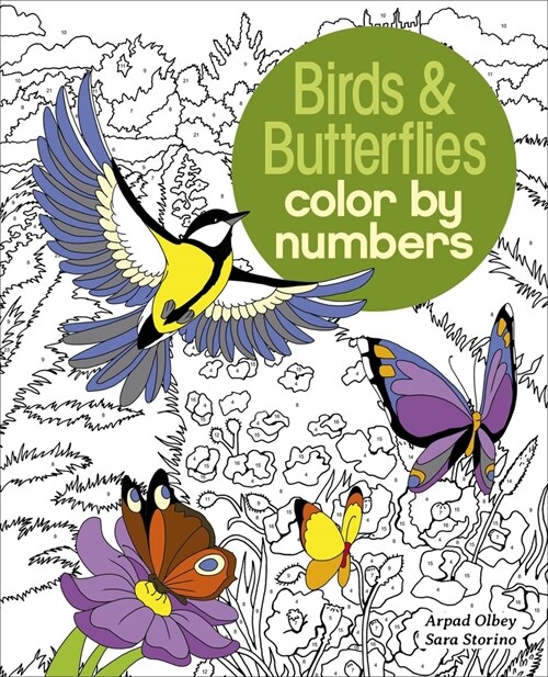 Birds & Butterflies Color by Numbers (Paperback)