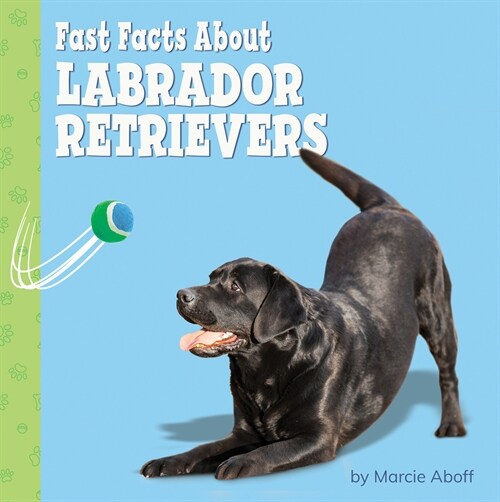 Fast Facts about Labrador Retrievers (Hardcover)