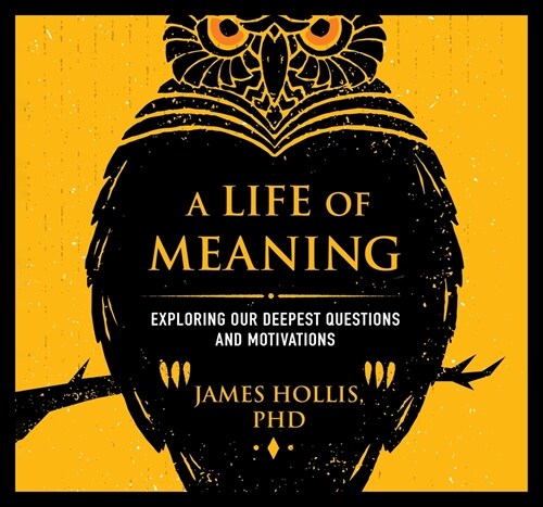 A Life of Meaning: Exploring Our Deepest Questions and Motivations (Audio CD)