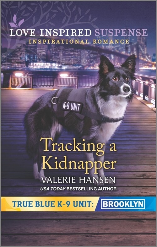 Tracking a Kidnapper (Mass Market Paperback, Original)