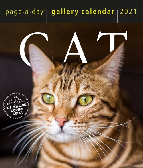 Cat Page-A-Day Gallery Calendar 2021 (Daily)