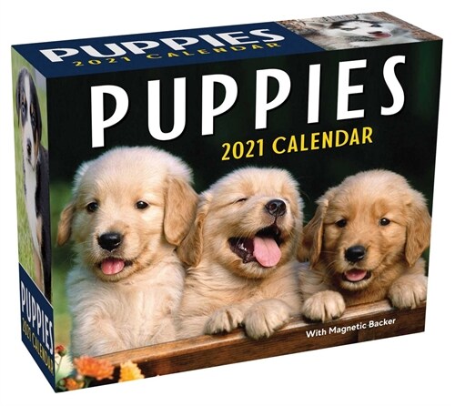 Puppies 2021 Mini Day-To-Day Calendar (Daily)
