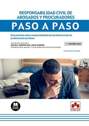 RESPONSABILIDAD CIVIL DE ABOGADOS Y PROCURADORES PASO A PAS (Paperback)