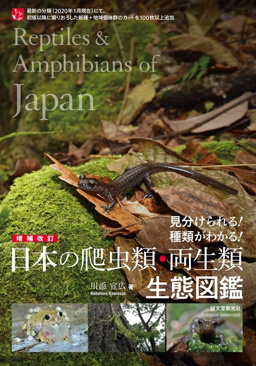 增補改訂 日本の爬蟲類·兩生類 生態圖鑑: 見分けられる! 種類がわかる!