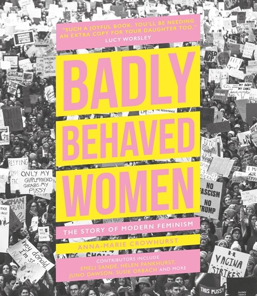 Badly Behaved Women : The Story of Modern Feminism (Hardcover)