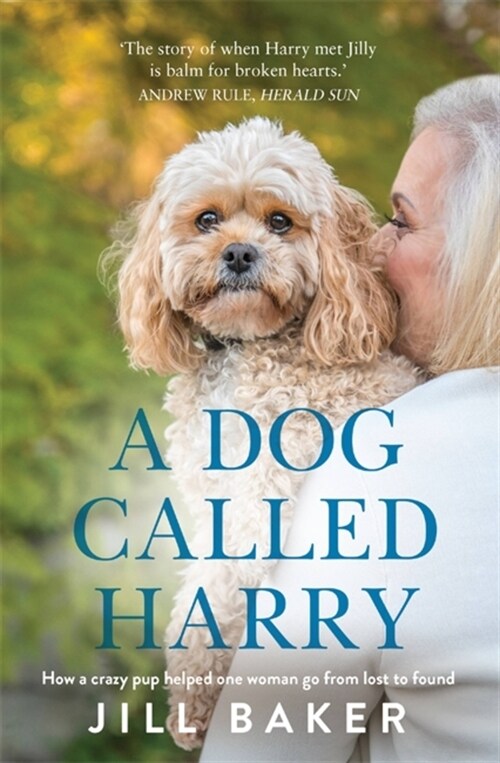 A Dog Called Harry (Paperback)