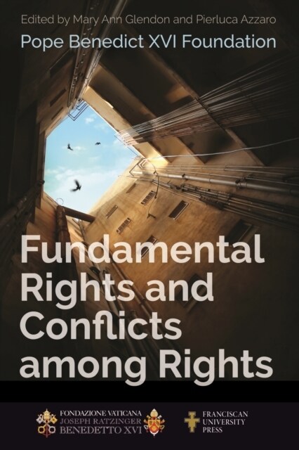 Fundamental Rights and Conflicts Among Rights (Hardcover)