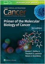 Cancer: Principles and Practice of Oncology Primer of Molecular Biology in Cancer (Paperback, 3)