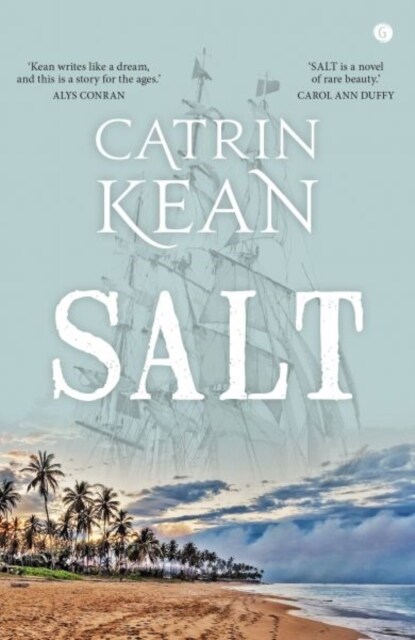 Salt (Paperback)