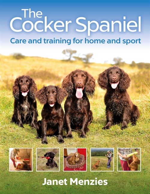 The Cocker Spaniel : Care and Training for Home and Sport (Paperback)