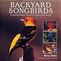 Backyard Songbirds: An Illustrated Guide to 100 Familiar Species of North America (Paperback)