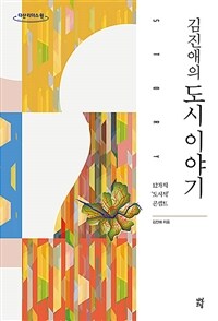 김진애의 도시 이야기 :큰글자도서 