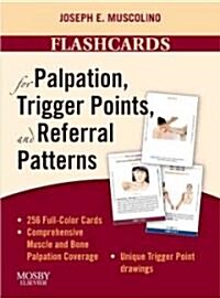 flashcards for Palpation, Trigger Points, and Referral Patterns (Cards, 1st, FLC)