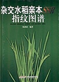 雜交水稻親本SSR指紋圖谱 (第1版, 精裝)