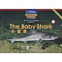 國家地理兒童百科入門級•(生命科學):小鲨魚(點讀版) (第1版, 平裝)