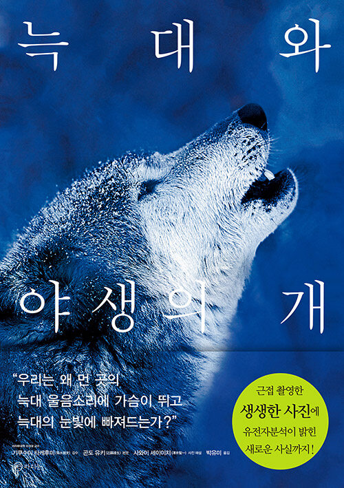 [중고] 늑대와 야생의 개