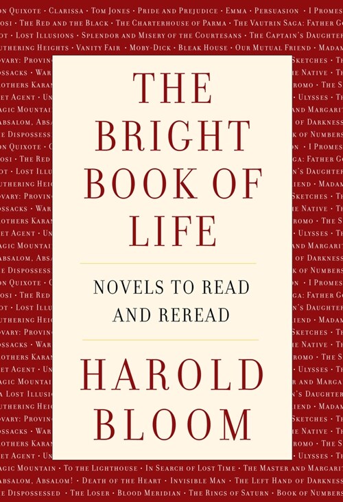 The Bright Book of Life: Novels to Read and Reread (Hardcover)