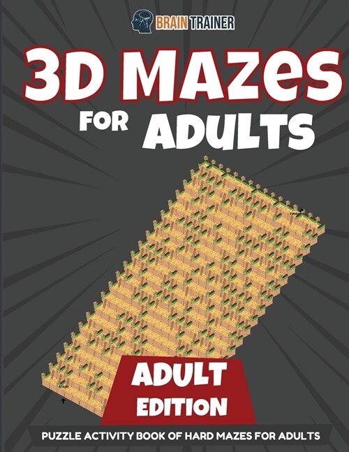 3D Mazes for Kids 15 Year Old Edition - Fun Activity Book of Mazes for Girls and Boys (Ages 15) (Paperback)