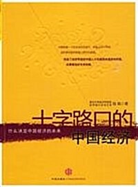 十字路口的中國經濟:什么決定中國經濟的未來 (第1版, 平裝)