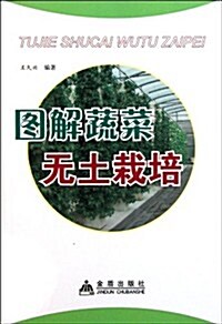 圖解蔬菜無土栽培(全彩) (第1版, 平裝)