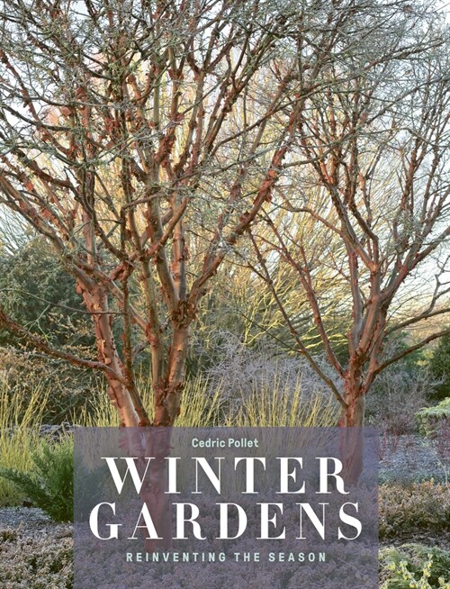 Winter Gardens : Reinventing the Season (Hardcover)