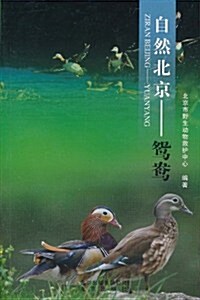 自然北京:鸳鸯 (第1版, 平裝)