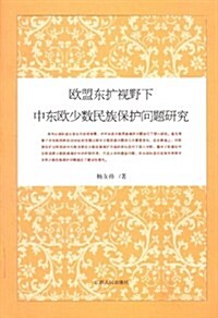 歐盟東擴视野下中東歐少數民族保護問题硏究 (第1版, 平裝)