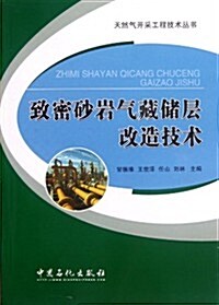 天然氣開采工程技術叢书:致密沙巖氣藏储層改造技術 (第1版, 平裝)