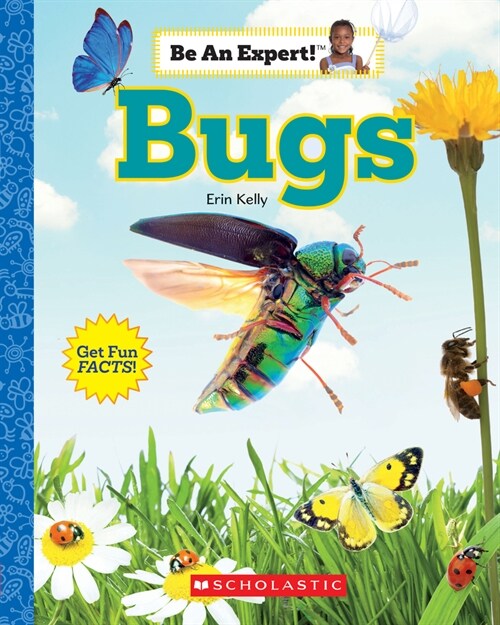 Bugs (Be an Expert!) (Paperback, Library)