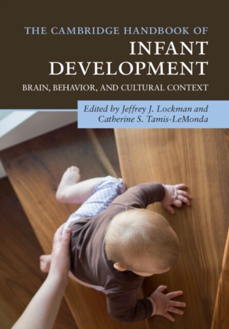 The Cambridge Handbook of Infant Development : Brain, Behavior, and Cultural Context (Paperback)