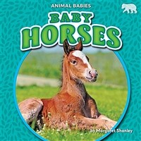 Baby Horses (Library Binding)