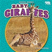 Baby Giraffes (Paperback)