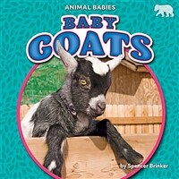 Baby Goats (Paperback)