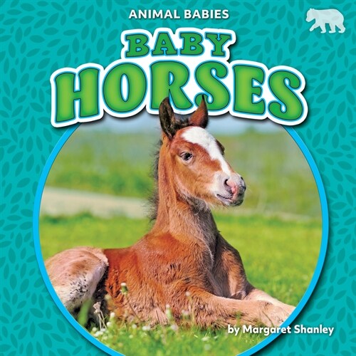 Baby Horses (Library Binding)