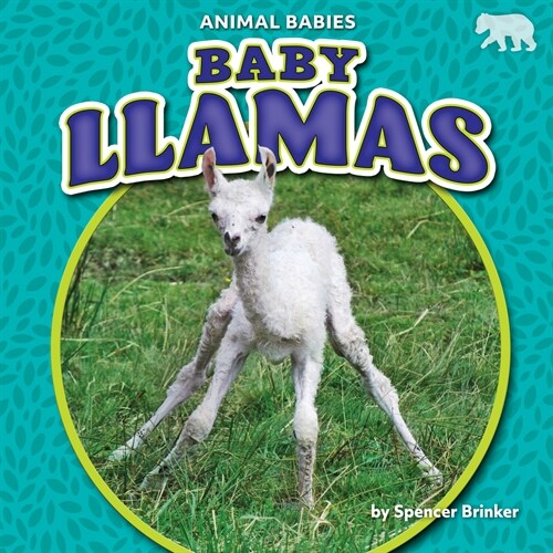 Baby Llamas (Library Binding)