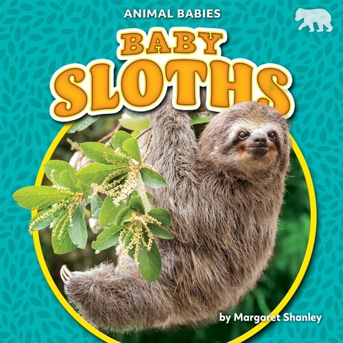 Baby Sloths (Library Binding)