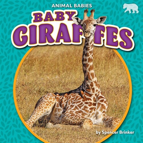 [중고] Baby Giraffes (Paperback)