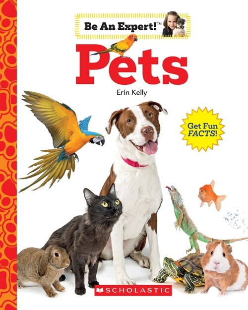 Pets (Be an Expert!) (Hardcover, Library)