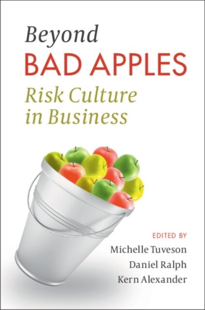 Beyond Bad Apples : Risk Culture in Business (Paperback)