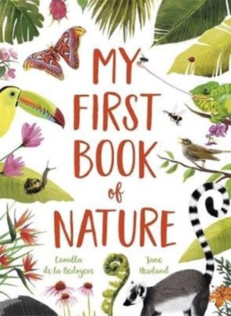 My First Book of Nature : With 4 sections and wipe-clean spotting cards (Paperback)