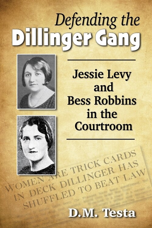 Defending the Dillinger Gang: Jessie Levy and Bess Robbins in the Courtroom (Paperback)