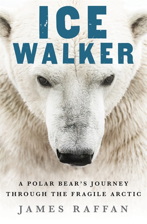 Ice Walker: A Polar Bears Journey Through the Fragile Arctic (Hardcover)