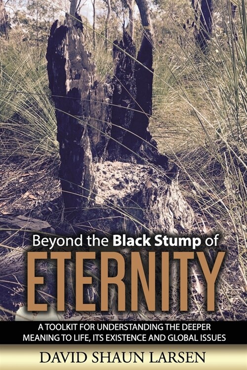 Beyond the Black Stump of Eternity: A Toolkit for Understanding the Deeper Meaning to Life, its Existence and Global Issues (Paperback)